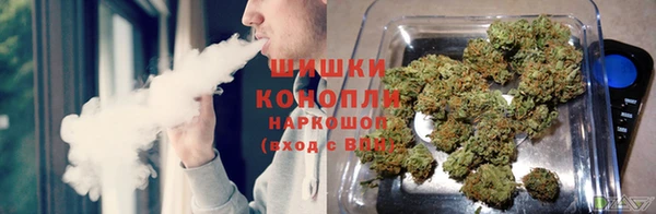 дживик Баксан