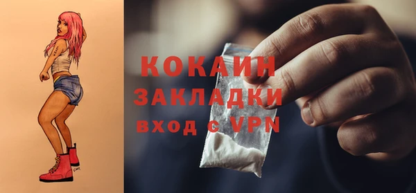 дживик Баксан