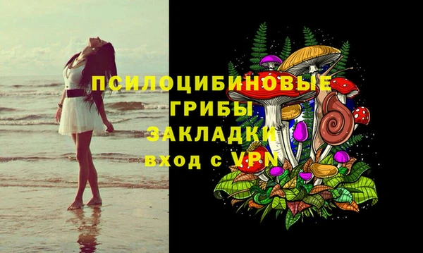мдпв Балахна