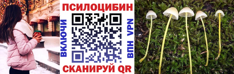 blacksprut ONION  Лысьва  Галлюциногенные грибы мицелий 